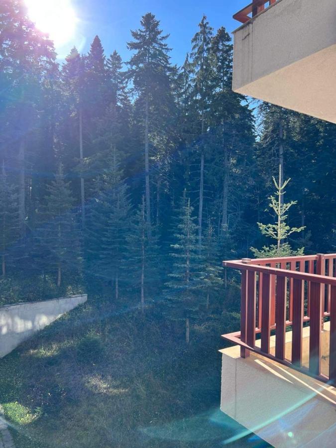 Arboro Flora Residence Studio Borovets Esterno foto