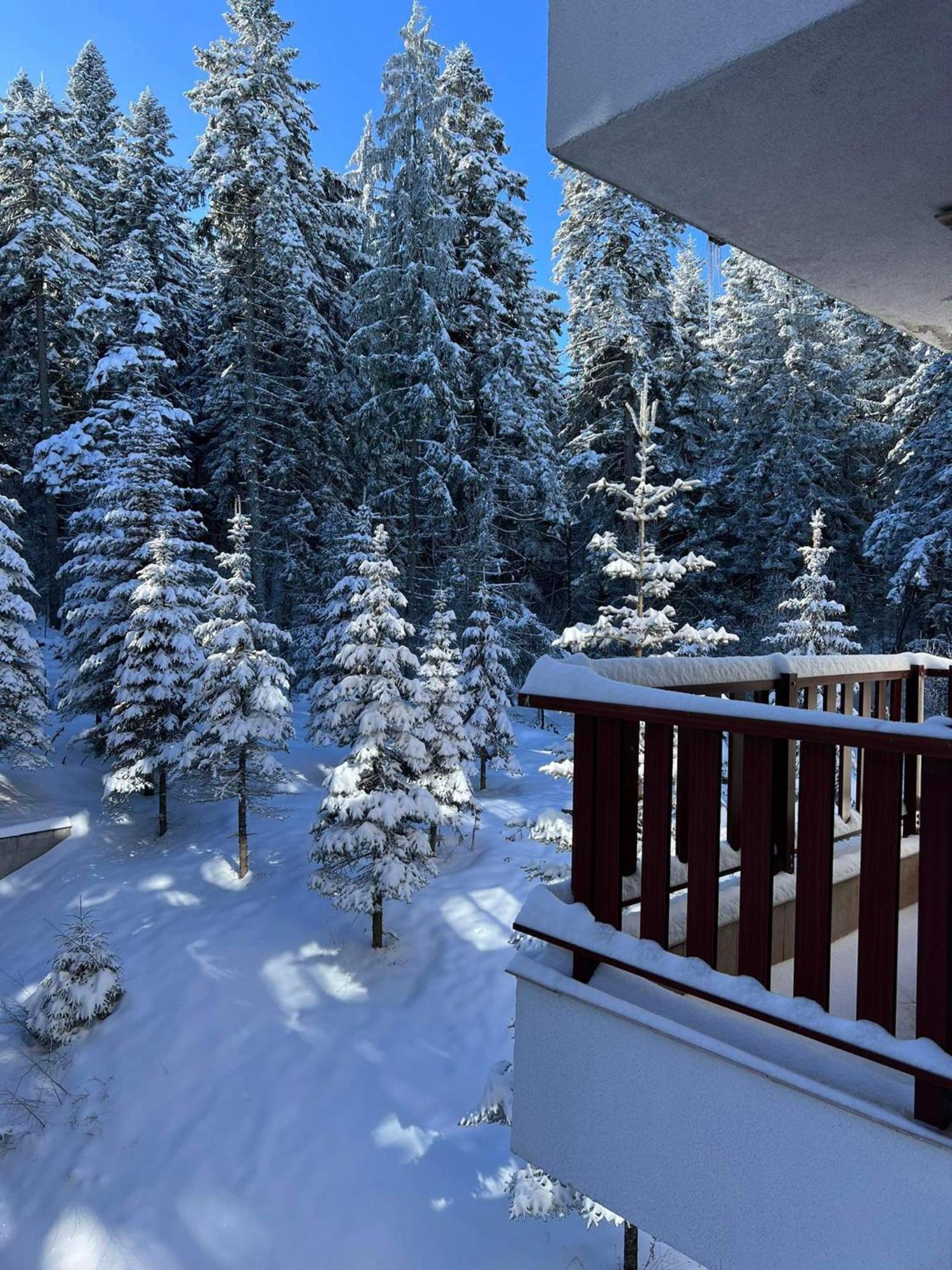 Arboro Flora Residence Studio Borovets Esterno foto
