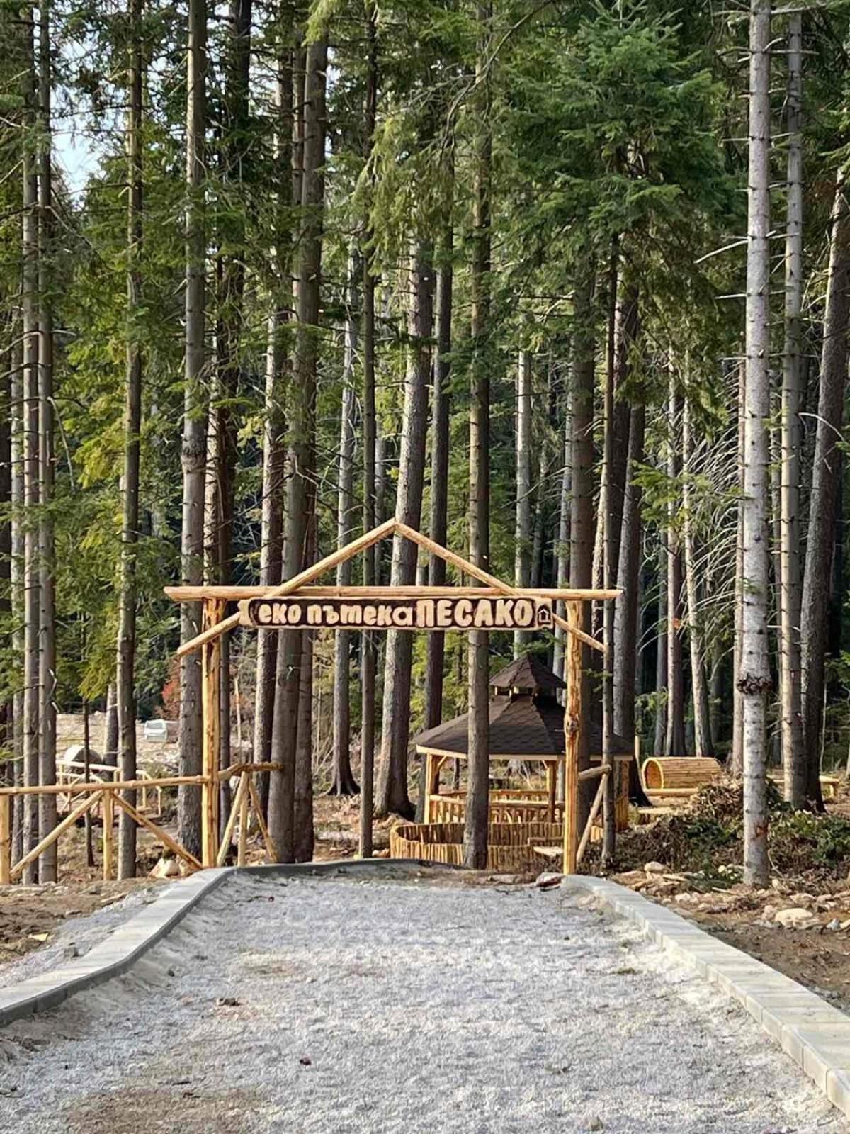 Arboro Flora Residence Studio Borovets Esterno foto