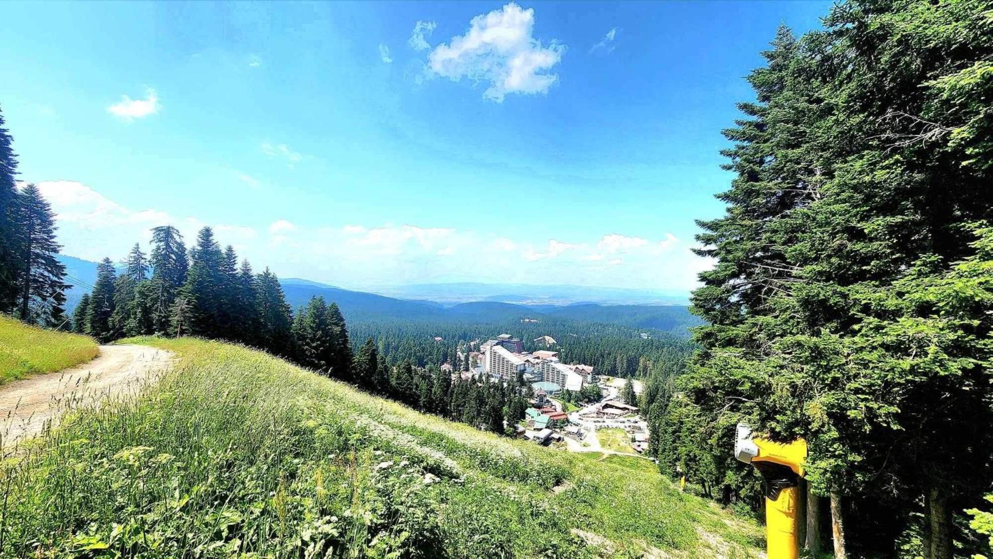 Arboro Flora Residence Studio Borovets Esterno foto